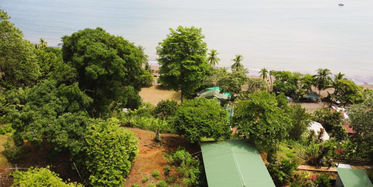 Cabana Ara Macao Lodge Drake Bay Exterior photo